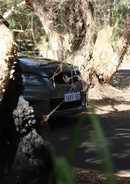 Front end shot of a grey Holden VE Commdore between trees